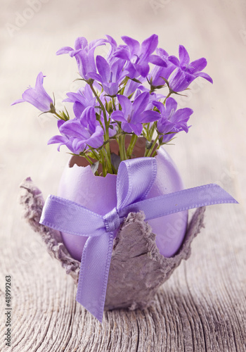 Fototapeta Naklejka Na Ścianę i Meble -  Campanula flowers