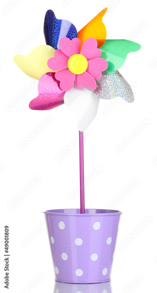 Colored pinwheel in pail isolated on white Colored pinwheel in pail isolated on white