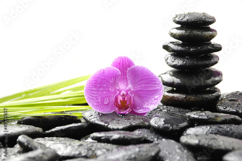Stones tower with orchid and palm leaf on wet pebble