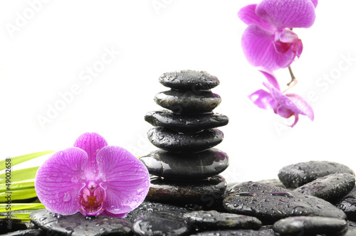 Stones tower with orchid and palm leaf on wet pebble