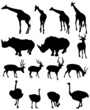 giraffe,rhinoceros, deer,ostrich .vector