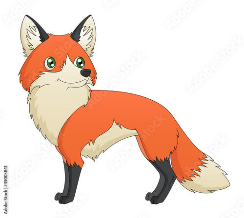 Fox Standing