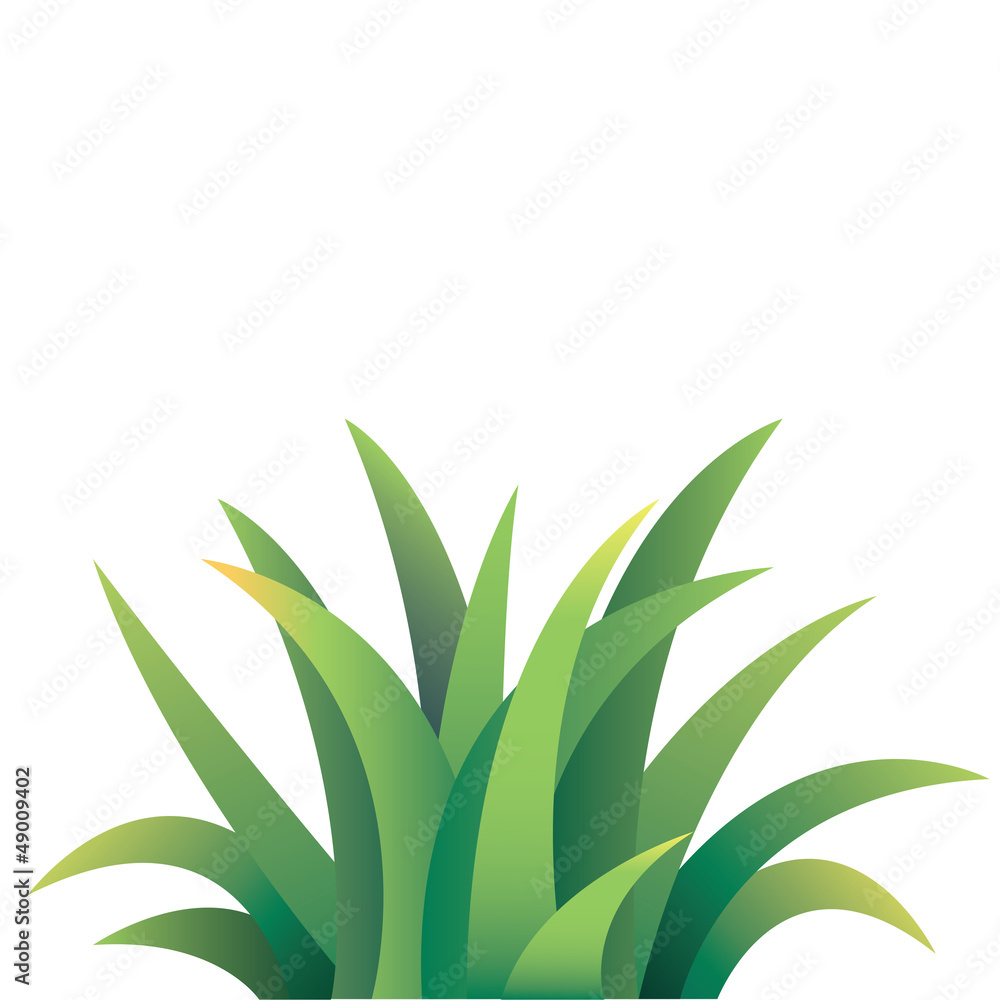 Fototapeta premium grass