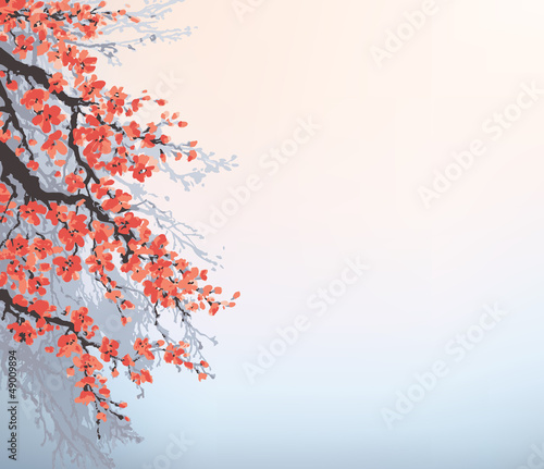 Vector background in Japanese style. Blossoming cherry branches