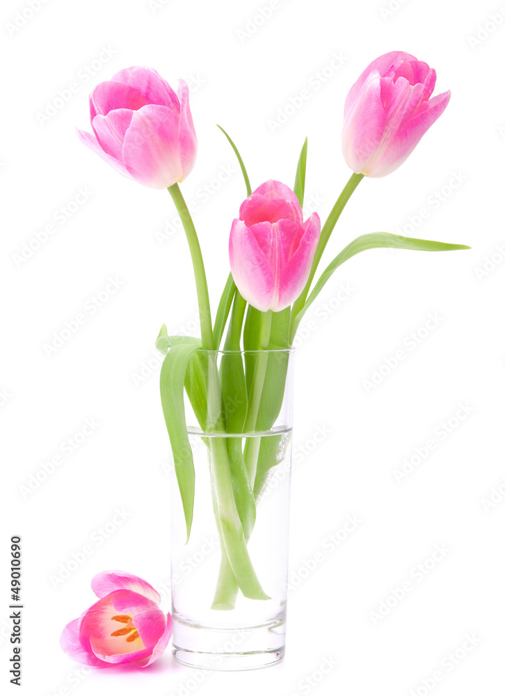 Pink tulips bouquet in vase isolated on white background Pink tulips bouquet in vase isolated on white background