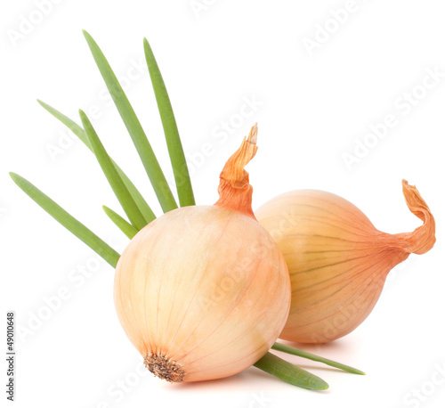 Onion vegetable