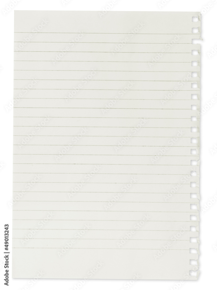paper page notebook. textured isolated on the white backgrounds paper page notebook. textured isolated on the white backgrounds