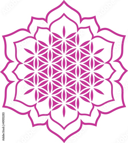 Vektor - Blume des Lebens - Herz Lotus - Chakra