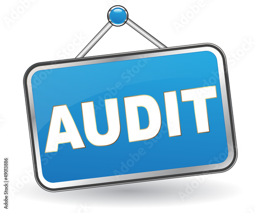 AUDIT ICON