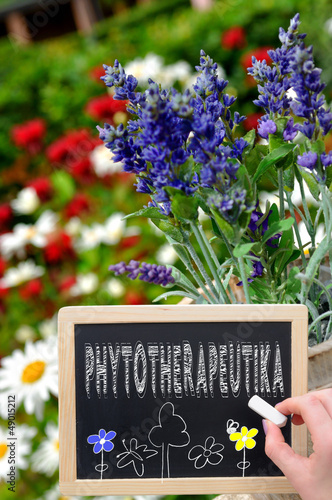 Phytotherapeutika Kreidetafel photo