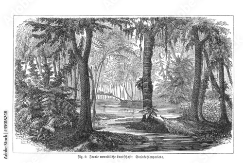 Urweltliche Waldlandschaft (Alte Lithographie)
