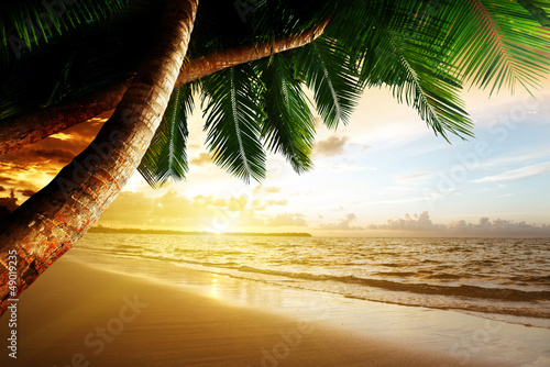 Fototapeta Naklejka Na Ścianę i Meble -  sunrise on Caribbean beach