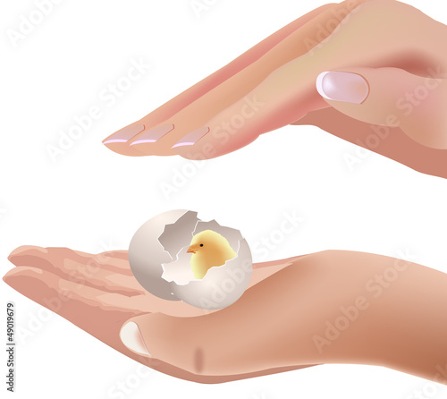 uovo con pulcino