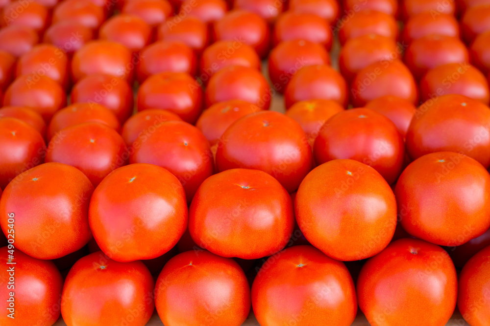 tomatoes vegetables stacked in a row on market tomatoes vegetables stacked in a row on market