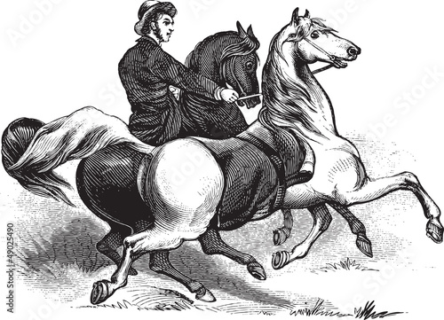 Man riding horses