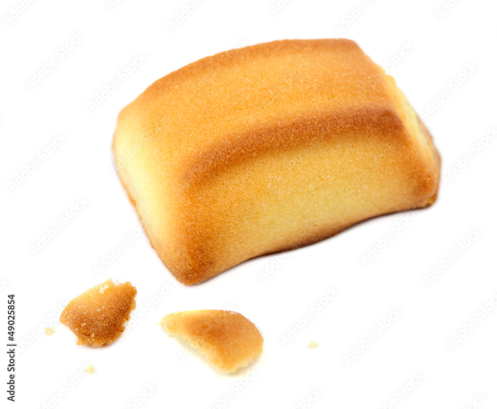 Biscuit with Crumbs Isolated on White Background Biscuit with Crumbs Isolated on White Background