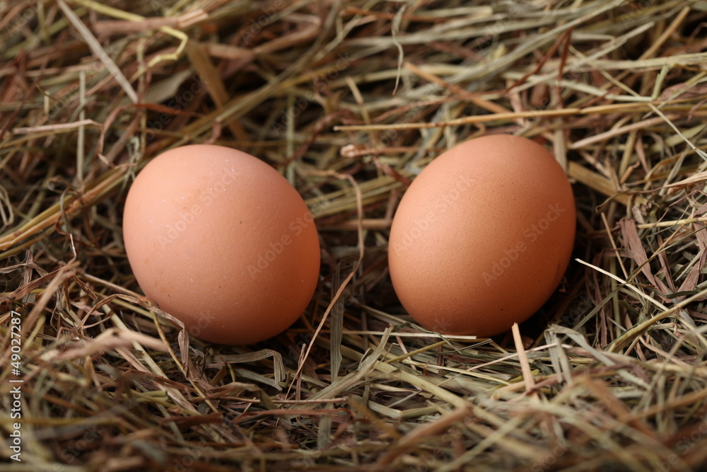 Eggs Eggs