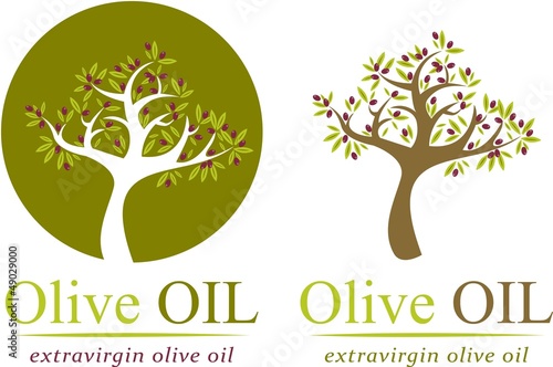 olive oil photo