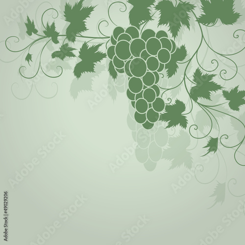 wein, weinrebe, weinblätter, weintrauben, vine, ranke,  vektor, 