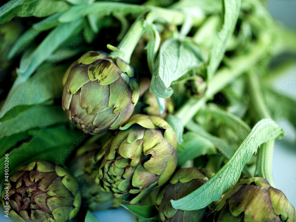 Obraz premium enginar