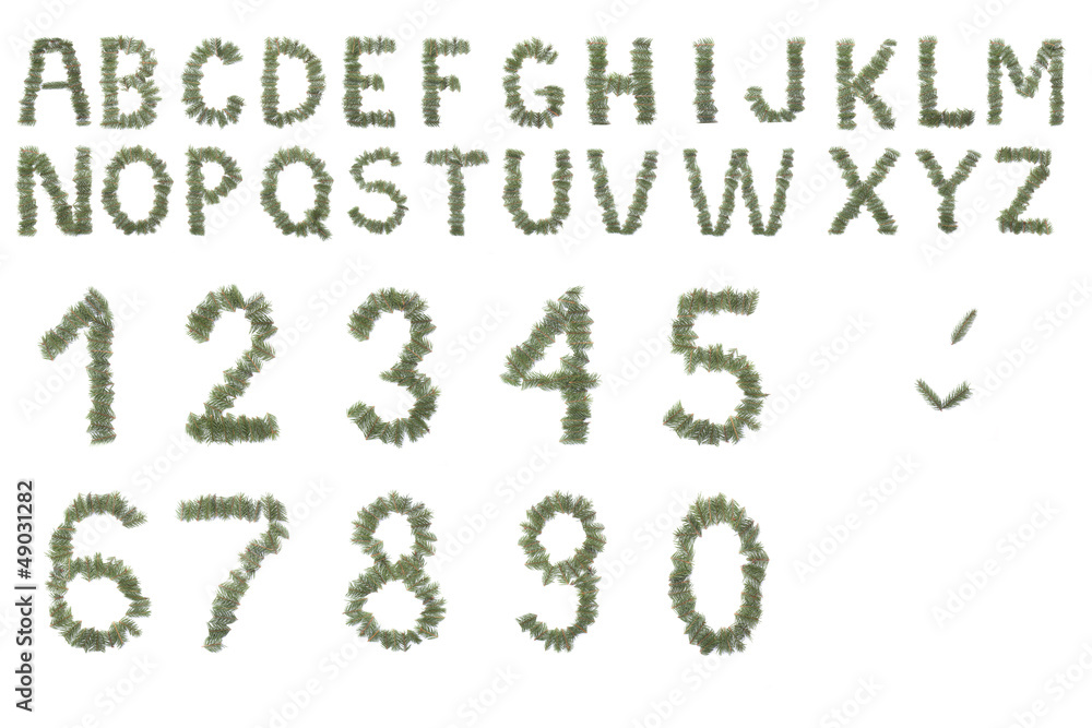 Christmas or nature alphabet made from needles isolated on white Christmas or nature alphabet made from needles isolated on white