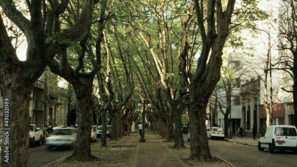ARGENTINA- JUNE 2012: street ARGENTINA- JUNE 2012: street