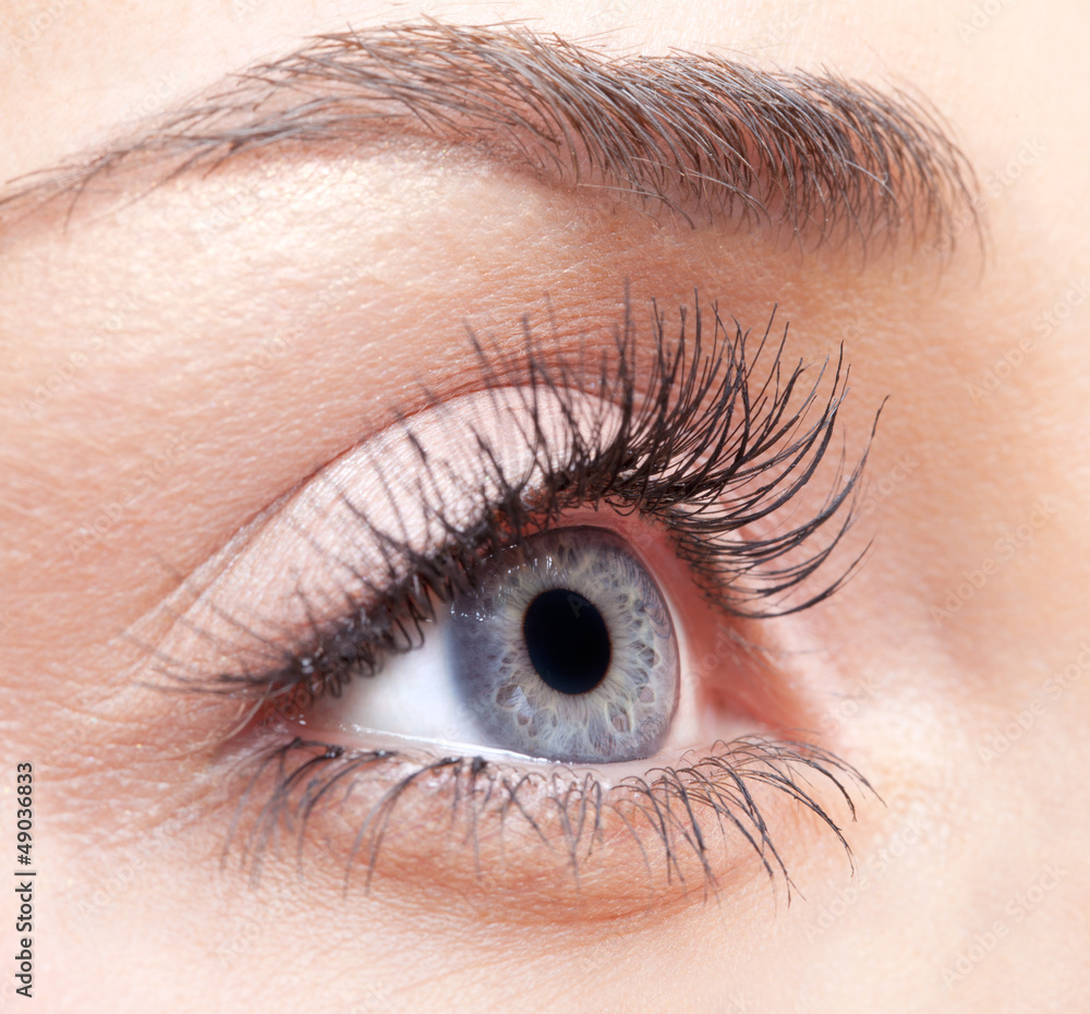 Fototapeta premium Woman eye