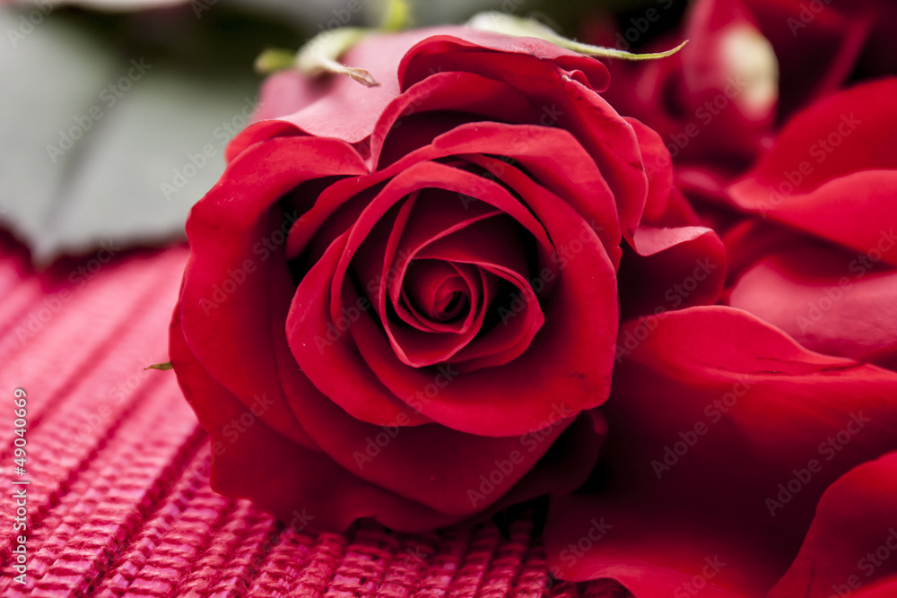 Red rose