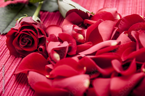 Red rose with rose petals