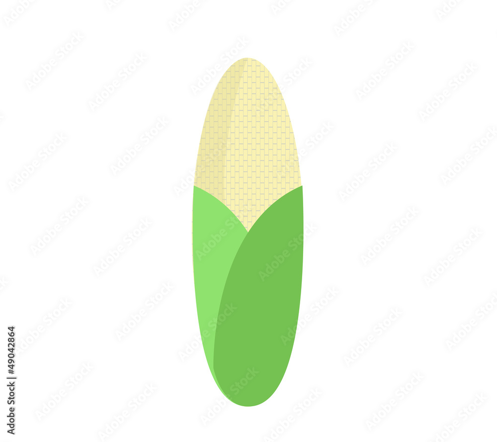 corncob vector illustration icon corncob vector illustration icon