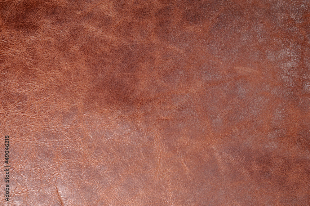 custom made wallpaper toronto digitalレザー生地