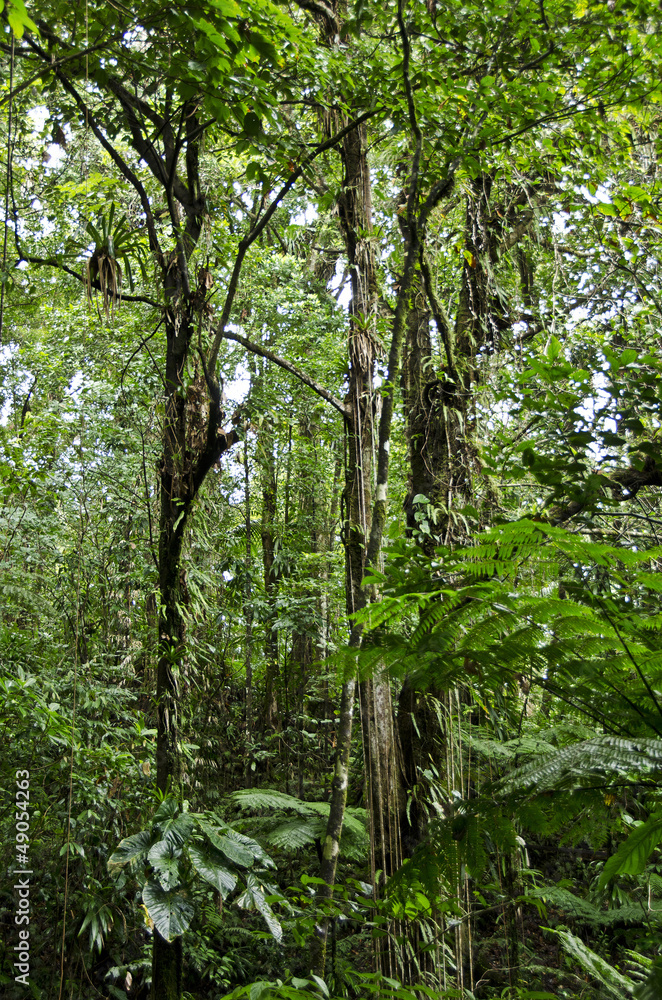 Dominica, Dominica,
