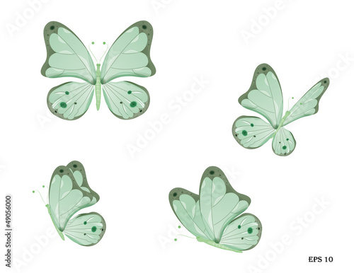 Blue-green butterfly in four poses