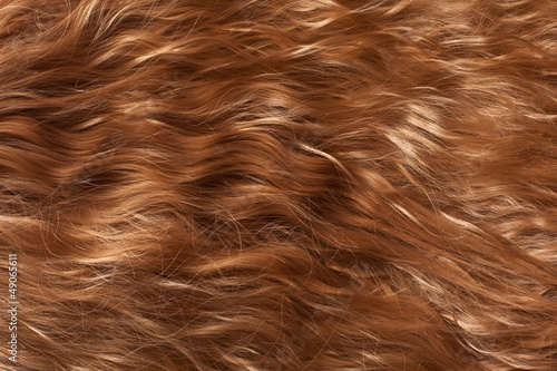 Hair Texture