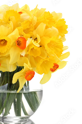 Fototapeta Naklejka Na Ścianę i Meble -  beautiful yellow daffodils in transparent vase isolated on