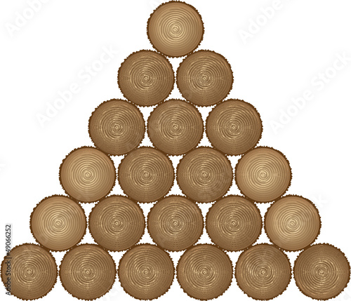 stacked cut timber