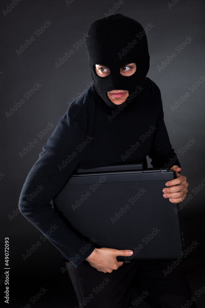 Burglar on Computer Burglar on Computer