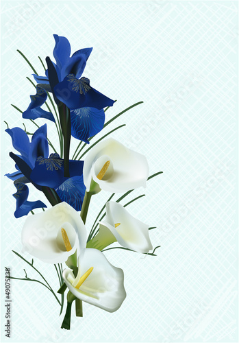 Fototapeta Naklejka Na Ścianę i Meble -  bouquet with dark blue iris flowers