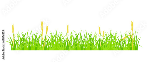 Grass and Wheat