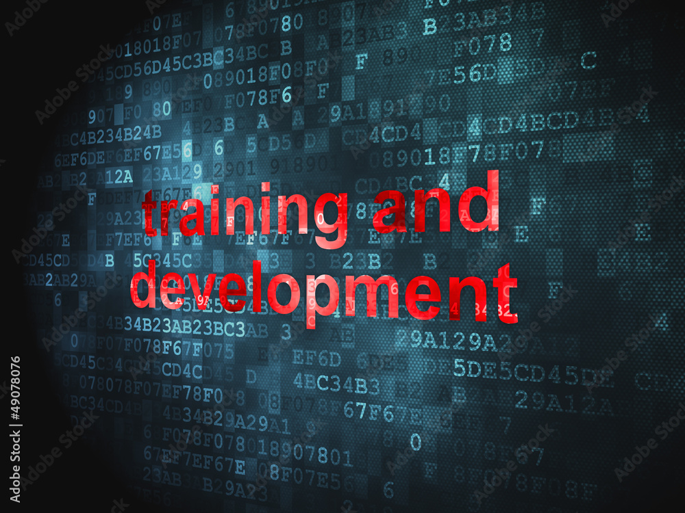 Fototapeta premium Education concept: Training and Development on digital backgroun