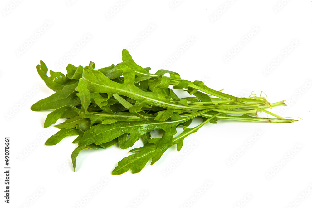 Arugula/rucola fresh heap leaf on white Arugula/rucola fresh heap leaf on white