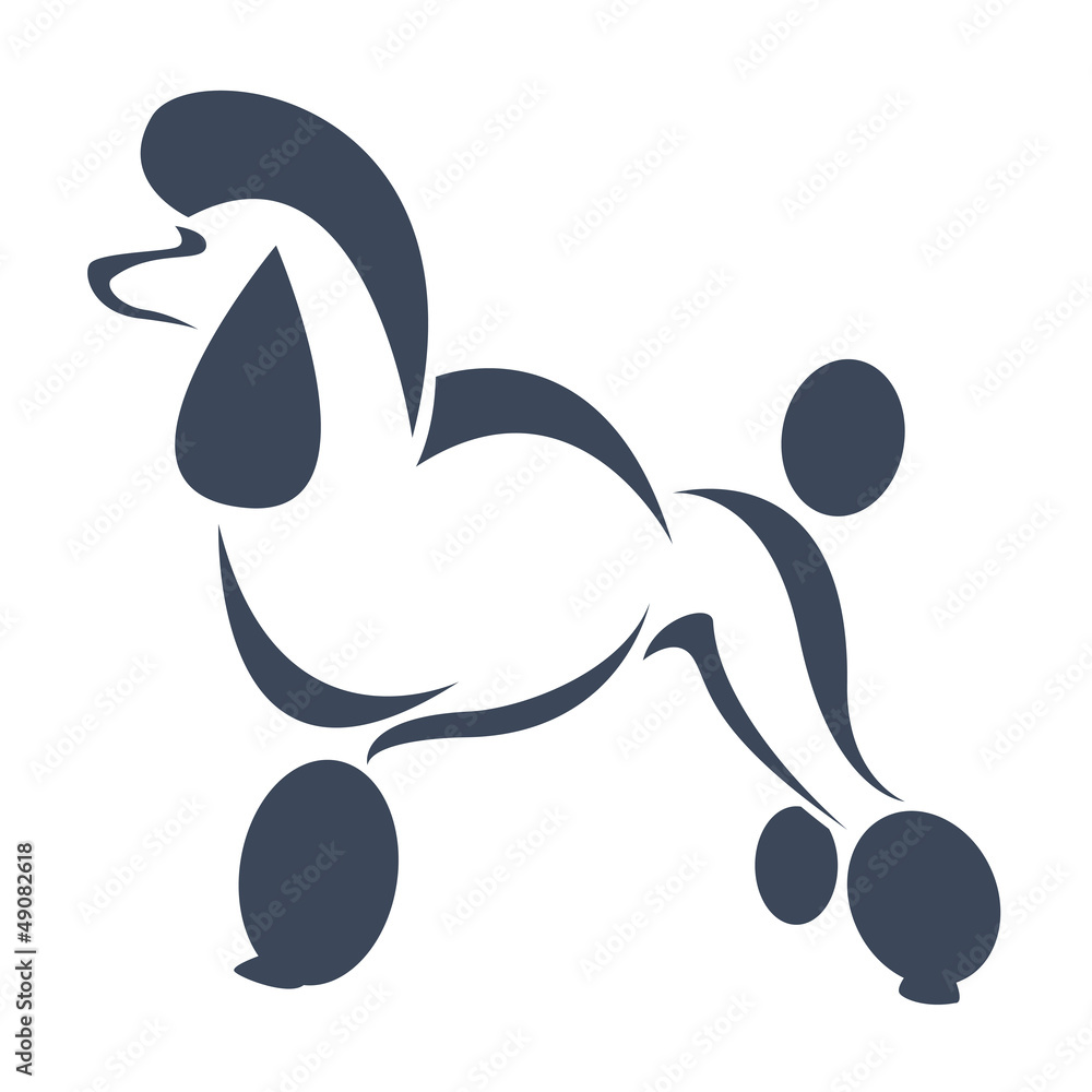 Vector of a dog (poodle) on white background. Pet. Animal. Easy editable layered vector illustration. Vector of a dog (poodle) on white background. Pet. Animal. Easy editable layered vector illustration.