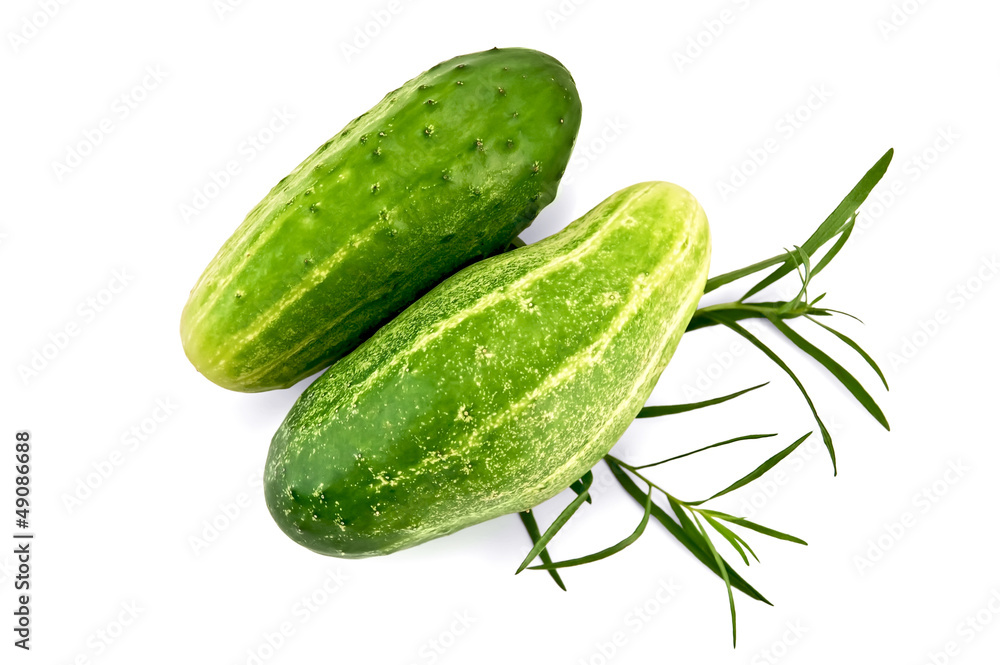 Cucumber with tarragon Cucumber with tarragon