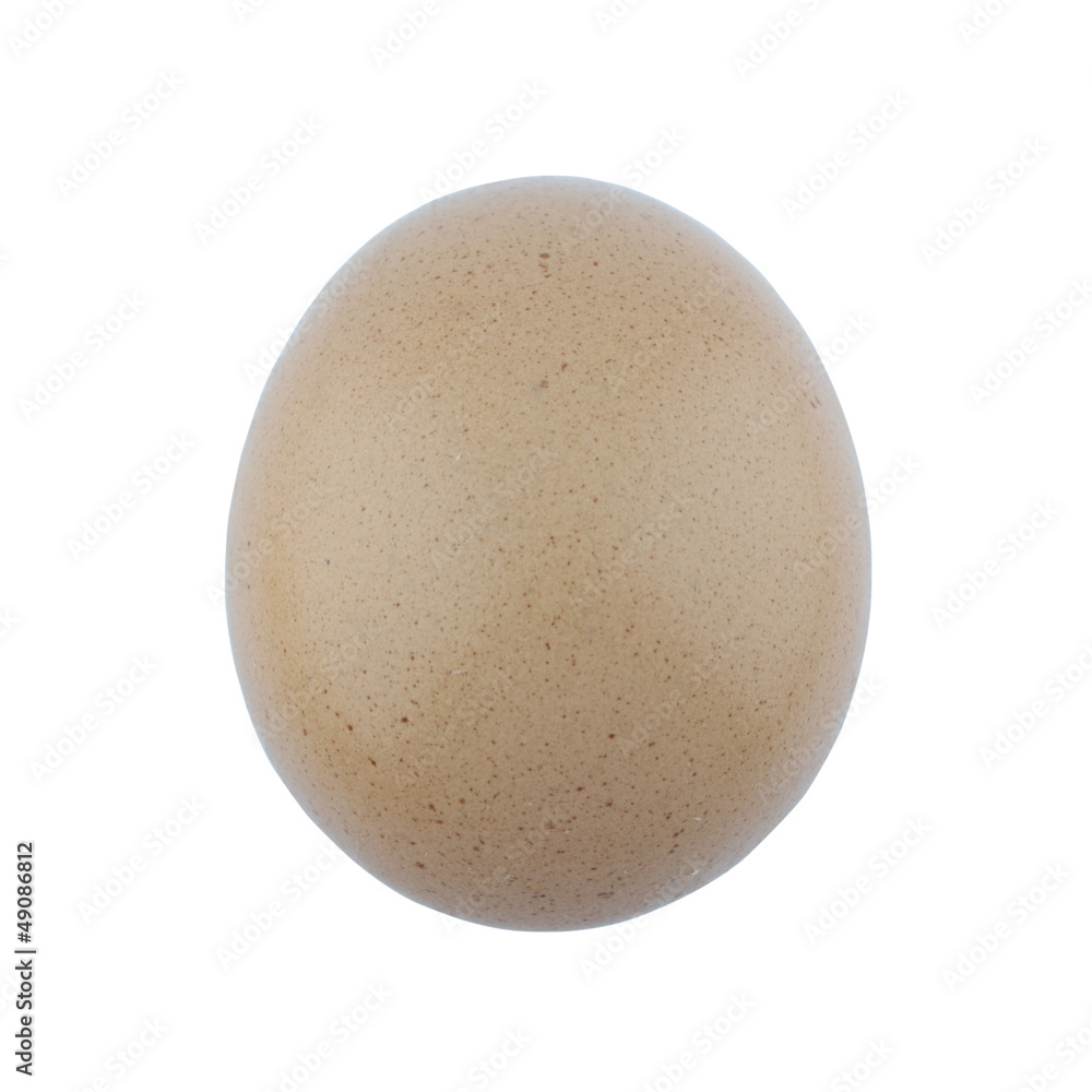 eggs on a white background eggs on a white background