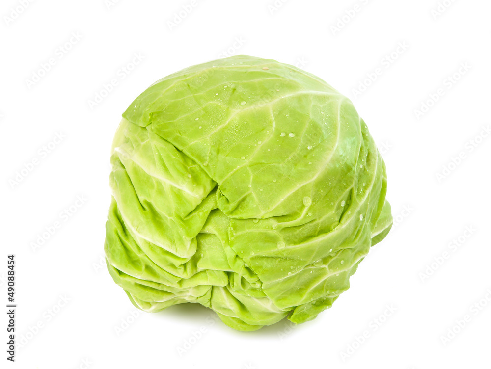cabbage isolated cabbage isolated
