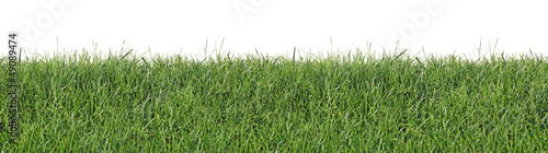 Fresh spring grass, as seamless wallpaper, isolated on a white background