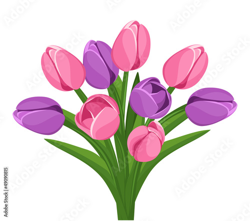 Fototapeta Naklejka Na Ścianę i Meble -  Bouquet of pink and purple tulips. Vector illustration.