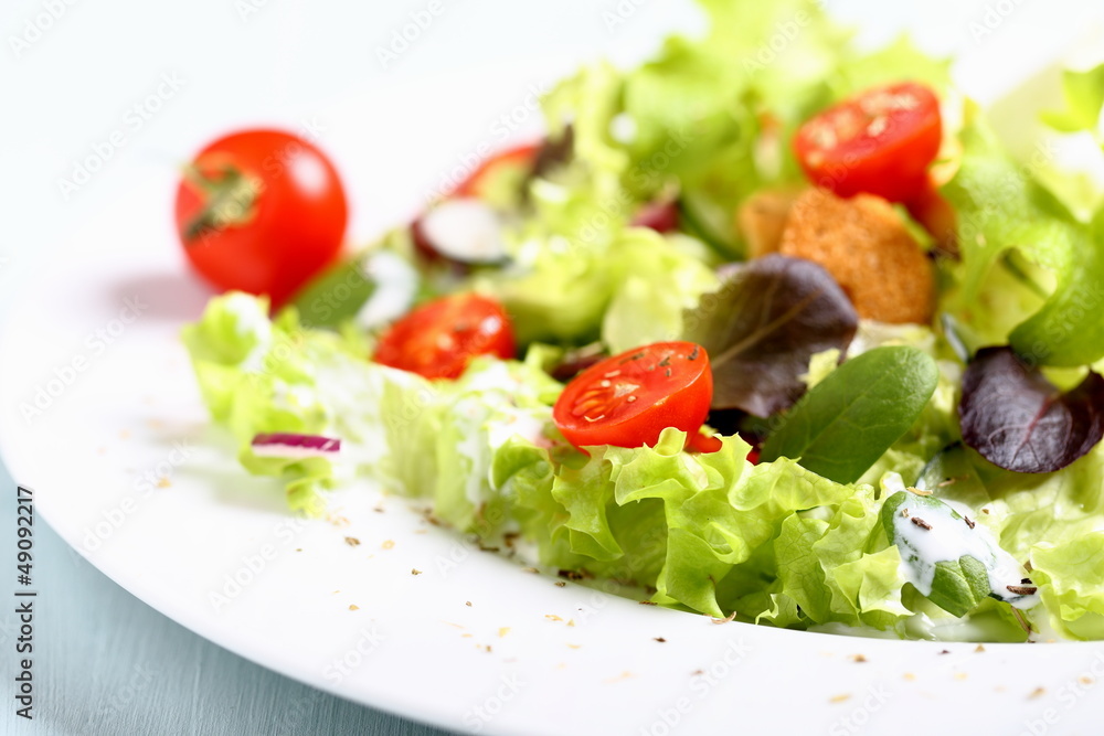 insalata mista con pomodori isolata su piatto insalata mista con pomodori isolata su piatto