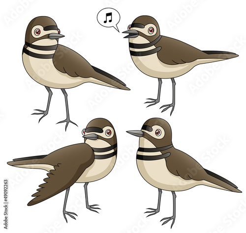 Cartoon Killdeer Set