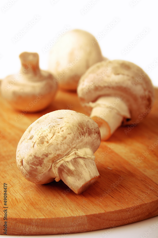 mushrooms mushrooms